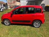 Fiat Panda 1.2 8V TwinAir CROSS Start&Stopp   - Fiat Panda aus 2017