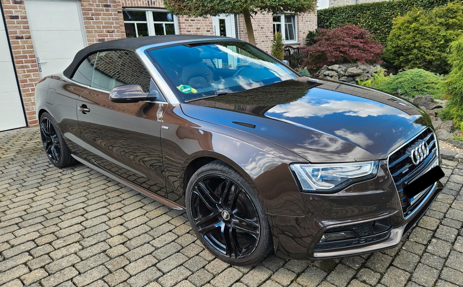 Audi A5 Cabriolet 2.0 TFSI quattro,S-Line, Leder, MMI