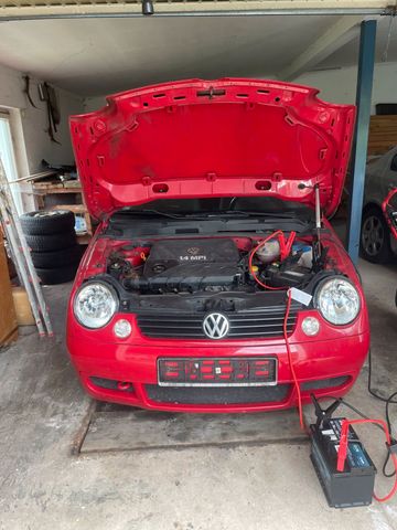 Volkswagen Vw Lupo 1,4