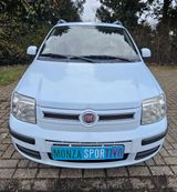 Fiat Panda 1.2 8V, Klima,Radio-Cd, Euro 5 - Fiat in Hagen