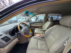 Fahrzeugabbildung RX 350 Executive Memory Sitze Xenon Dyn. Kurvenl