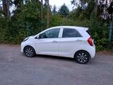 Kia Picanto TA - Kia Picanto TA