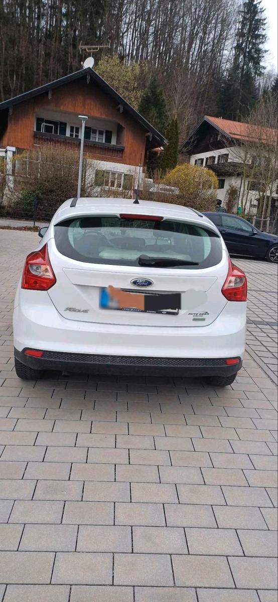 Ford Focus 2014 — rear view