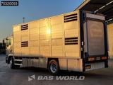 MAN TGM 18.240 N18 4X2 NL-Truck 2 decks cattle trans - MAN 4x4