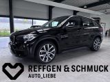 BMW X1 ADVANTAGE XD AUTOMAT+LEDER+NAV+KAMERA+TÜV+1HD - BMW: Leder