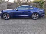 Ford Mustang  - Ford Mustang in Oberhausen