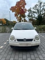 Volkswagen Klein lupo - Volkswagen Lupo in Köln