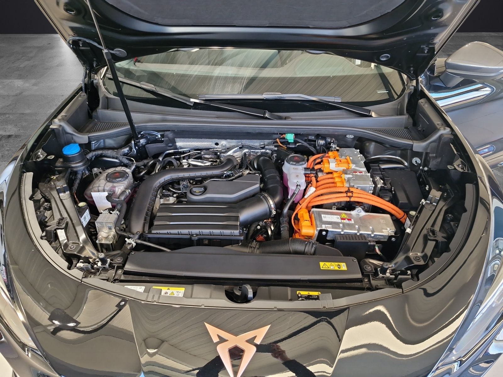 Fahrzeugabbildung CUPRA Terramar 1.5 e-Hybrid America's Cup Limited Edit