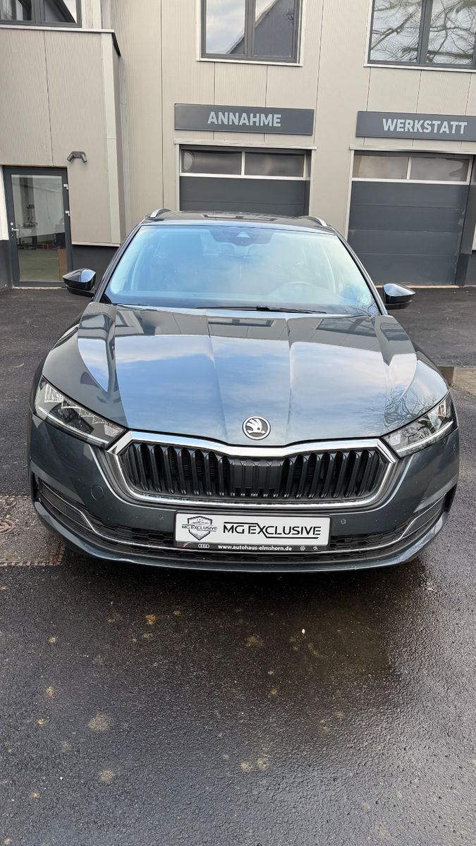 Fahrzeugabbildung SKODA Octavia Combi First Edition
