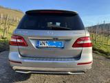 Mercedes-Benz ML 350 BlueTEC 4MATIC - - Mercedes-Benz ML 350 Gebrauchtwagen in Stuttgart