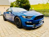 Ford Shelby GT350 - Ford Mustang: Gt350 Shelby