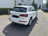 Audi Q5 50 TDI tiptronic quattro - - Audi Q5 Gebrauchtwagen in Köln