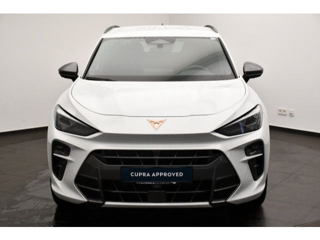 Cupra Terramar - Bild 18