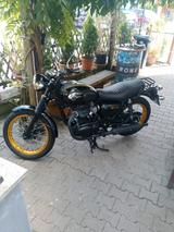 Kawasaki W800 spezial edition  - KAWASAKI GEBRAUCHT W800