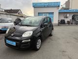 Fiat Panda Pop - Fiat Panda: Pop