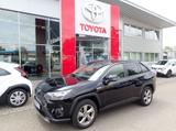 Toyota RAV 4 Hybrid 4x2 Team Deutschland/NAVI/WKR/SH - Toyota RAV 4: De