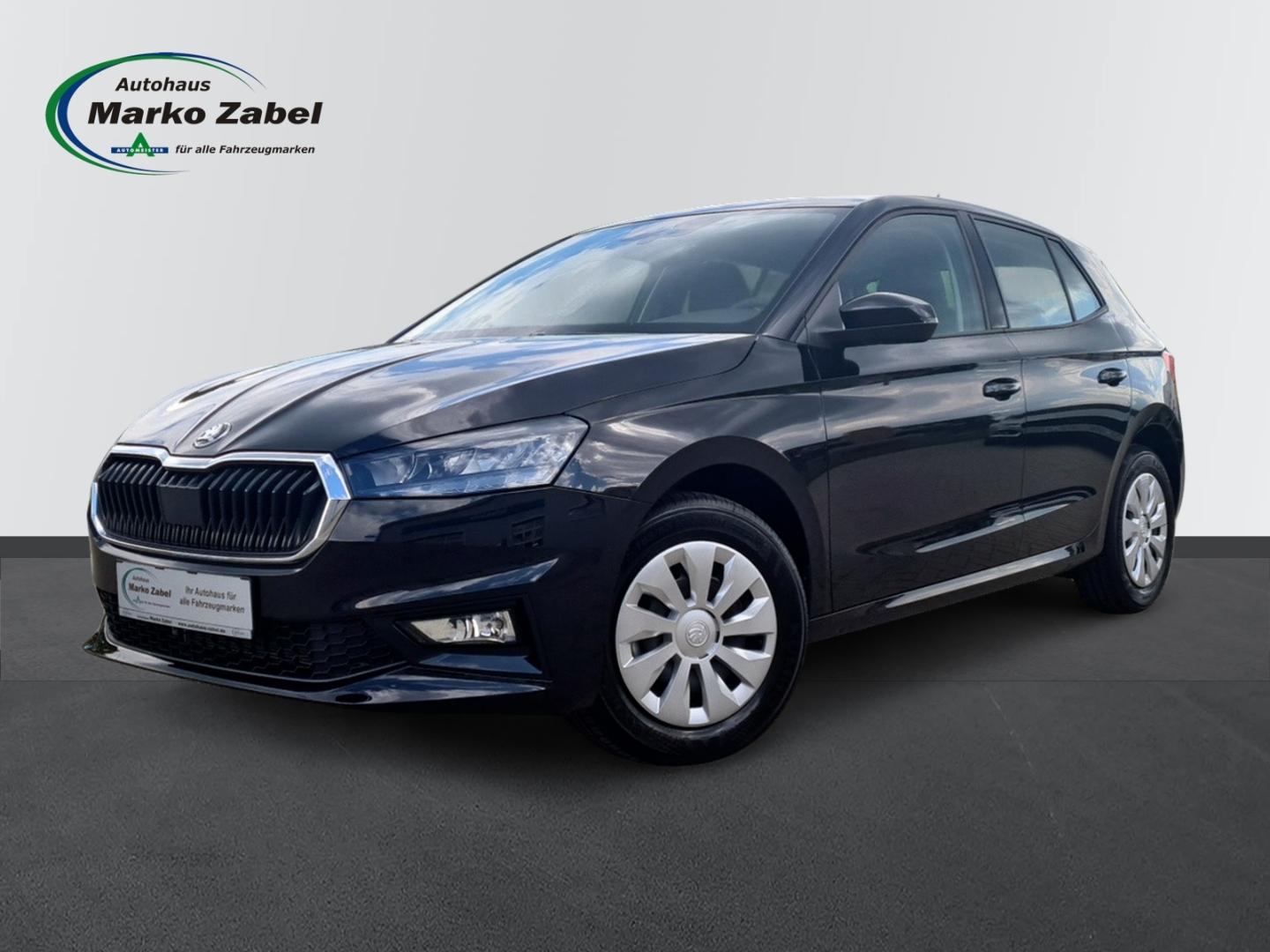Skoda Fabia 1.0 TSI DSG 110PS Selection LED Winterpake