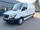 Mercedes-Benz Sprinter 316CDI Kasten L2H1 *Kamera + Automatik* - Mercedes-Benz Sprinter: Kasten