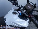 Triumph Tiger 900 GT Alpine Edition + Akra Mod. 2026 - Triumph Tiger 900 Alpine Edition