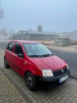 Fiat Panda unfallfrei Scheckheftgepflegt T... - Fiat Panda in Oldenburg