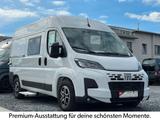 Affinity Freedo 541 Premium Version | Top Ausstattung! - Offers