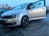 Volkswagen Vw Golf plus - Volkswagen Golf Plus in Hamm