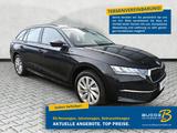 Skoda Octavia Combi 1.5 eTSI DSG Selection Navi / ACC - Skoda Octavia Tageszulassungen