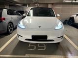Tesla Model Y Long Range AWD *Batteriegarantie* - Tesla Model Y in Mannheim