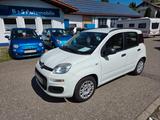 Fiat Panda My Panda Garantie Klima ZV el.FH - Fiat Panda: My