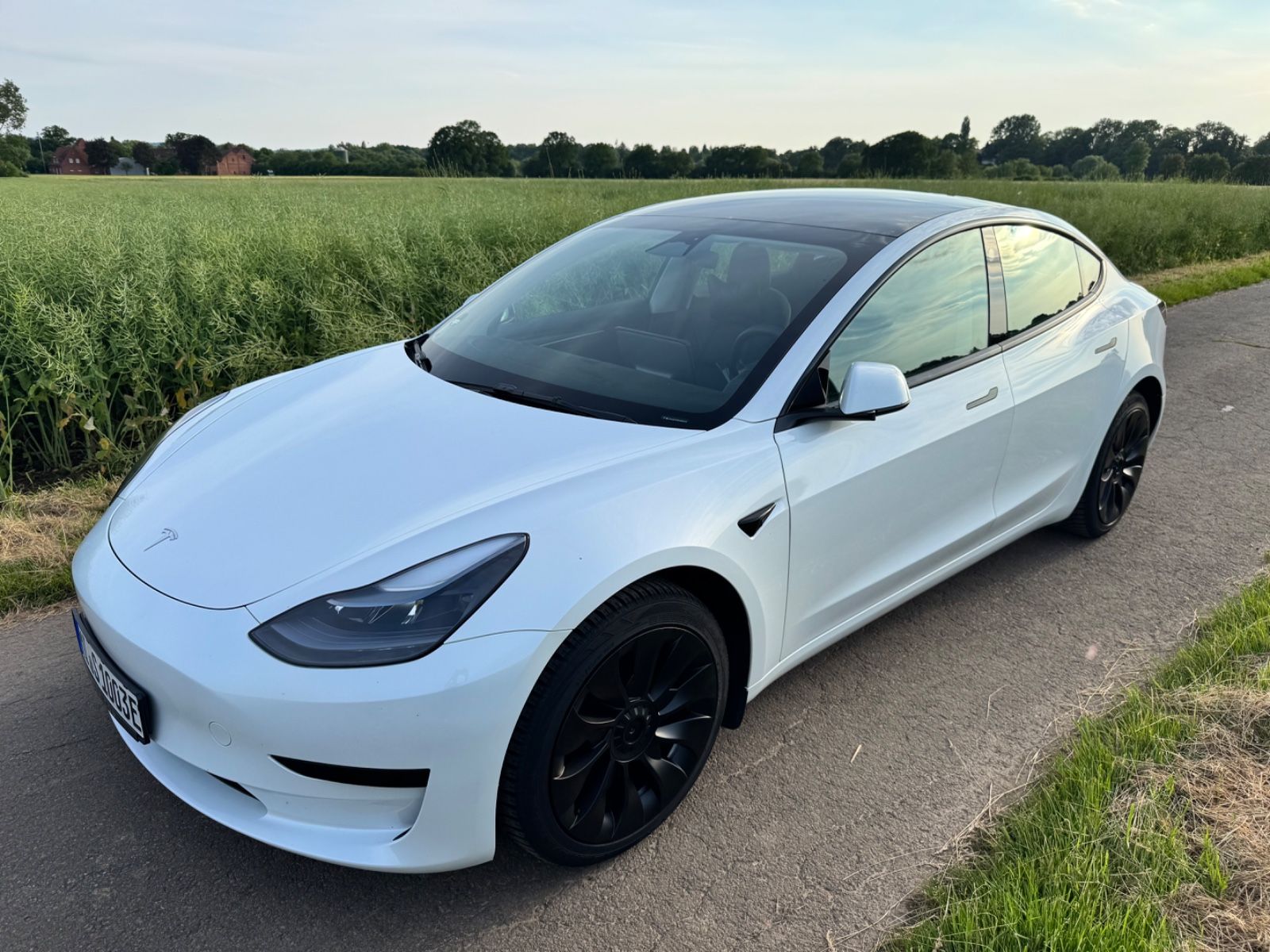 TESLA Model 3