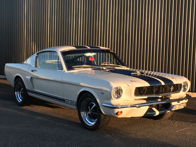 Ford Mustang Fastback GT 350 Clone Oldtimer