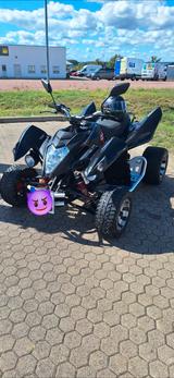 Beeline Bestia 5.5 - BEELINE BESTIA