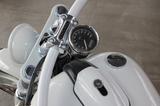 Harley-Davidson FXSB BREAKOUT SOFTAIL * 1 OF 1 * 100% CUSTOM! - HARLEY-DAVIDSON SOFTAIL CUSTOM