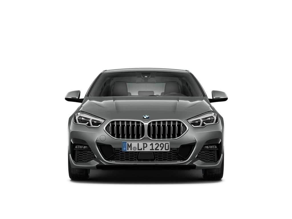 Fahrzeugabbildung BMW 218 Gran Coupe i M Sport Park-Assistent Navi LED