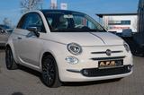 Fiat 500 Collezione Klima 1.Hd. Sitzh. Tempom. Pano. - Fiat 500: Beige
