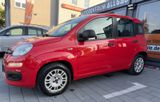 Fiat Panda Easy - Fiat Panda aus 2019