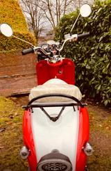 Andere Nova Roller Retro Star EFI rot/weiß niegelnageln - ROLLER RETRO