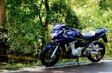 Suzuki GSF 1250 S/A !! 7tkm !! EXTRAS BOS neuw. - SUZUKI GSF 1250 A