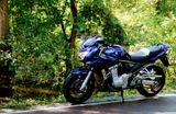 Suzuki GSF 1250 S/A !! 7tkm !! EXTRAS BOS neuw. - SUZUKI T 125