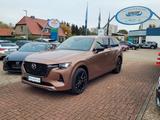 Mazda CX-80 e-SKYACTIV PHEV 327ps 8AT AWD Homura Plus - Mazda in Rostock