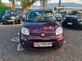 Fiat Panda 1.2 EasyPower Gpl Easy - Fiat Panda mit LPG-Antrieb