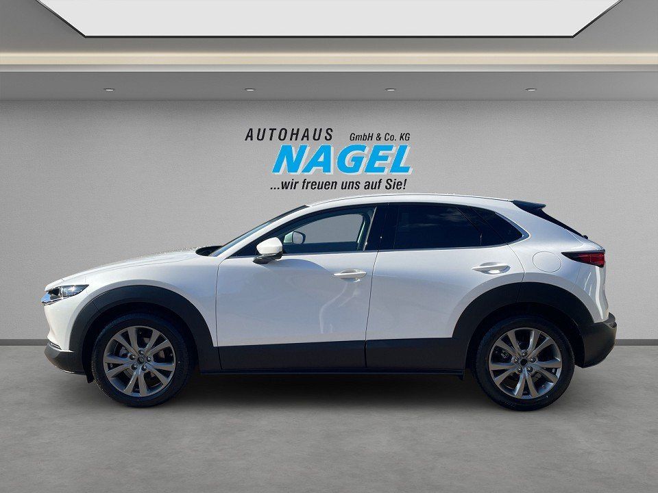 Mazda CX-30 - Bild 4
