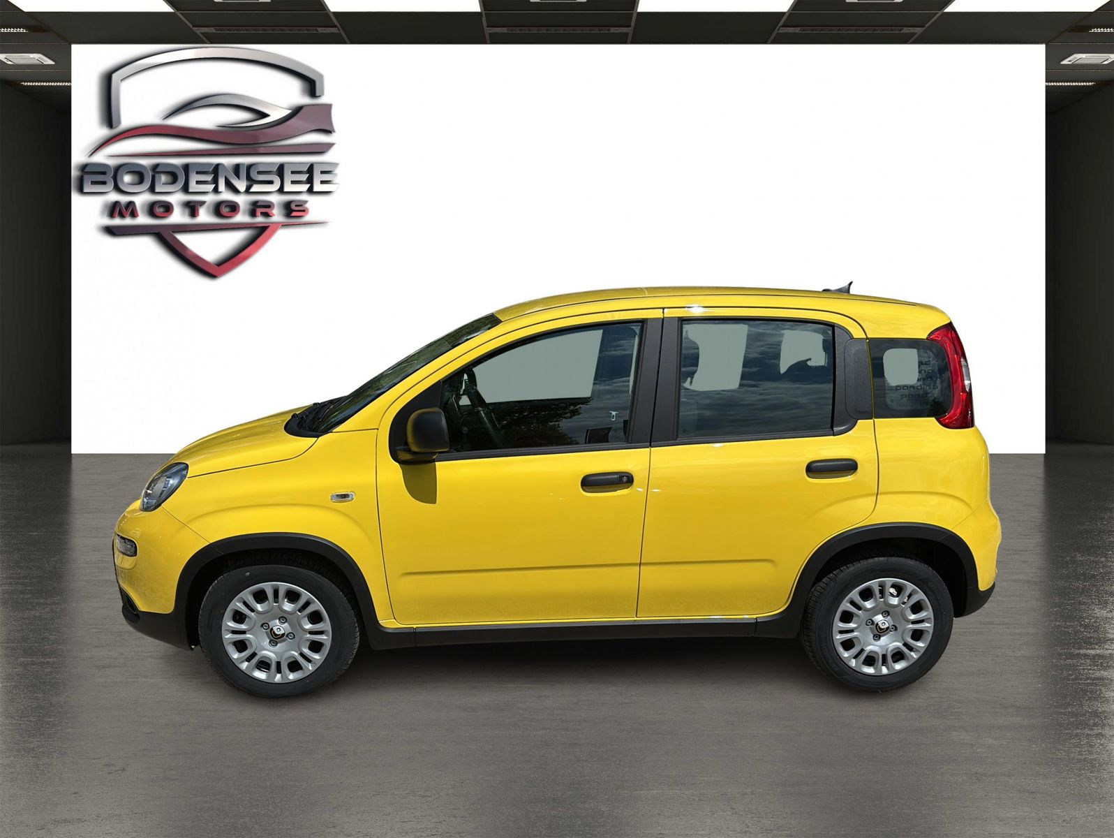 Fahrzeugabbildung Fiat Panda Pandina