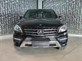 Mercedes-Benz ML 350 CDI BlueTec AMG Sport Paket - Mercedes-Benz: AMG Ml