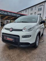 Fiat Panda+DAB.+ALLWETTER+KLIMA+V.Historie+1Hand - gebrauchte Fiat Panda aus dem Jahr 2023