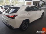 Lexus UX 250h AWD Luxury Executive Schiebedach Kamera - Lexus Gebrauchtwagen in Bremen