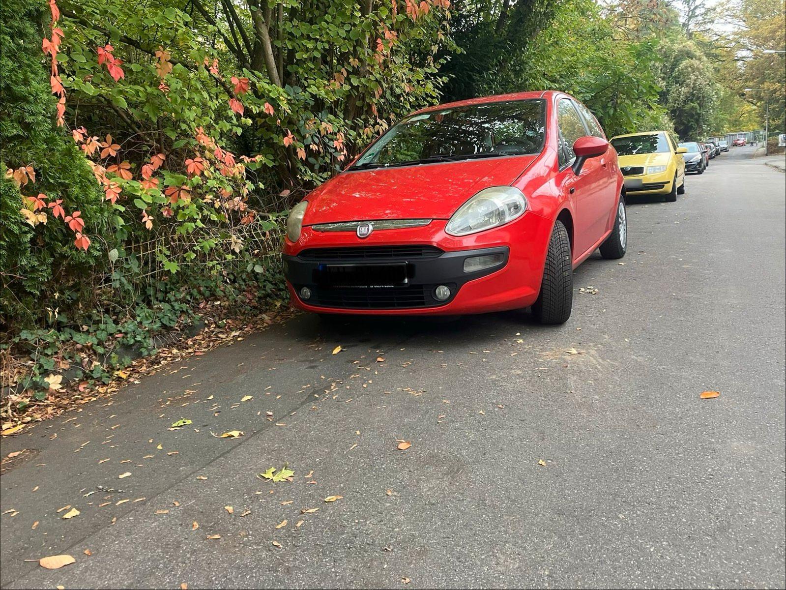 Fiat Punto Evo