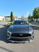 Ford Mustang 5.0 GT - Ford Mustang in Köln