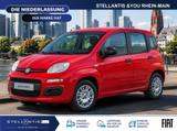 Fiat Panda Icon Klima PDC - Fiat Panda Neuwagen mit Benzin-Antrieb