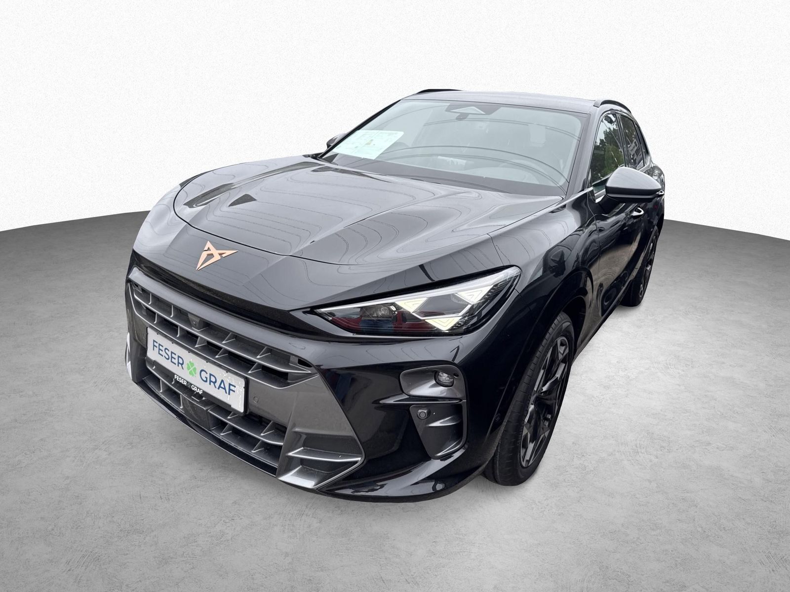 Cupra Terramar - Bild 15
